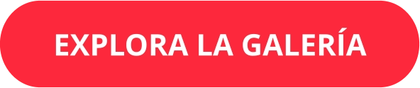 EXPLORA LA GALERÍA